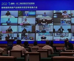 多會(huì)場直播